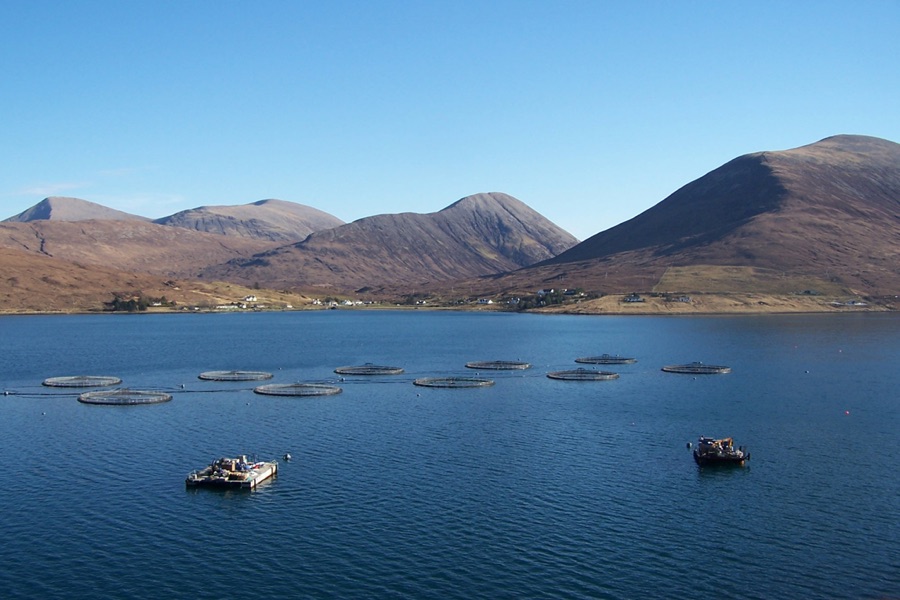 Aquaculture facility water quality monitoring and testing across fish production units