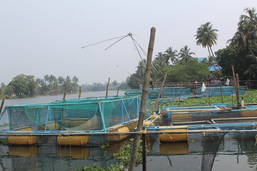 Aquaculture cages and pond surface aeration equipment monitored for reliable oxygen transfer