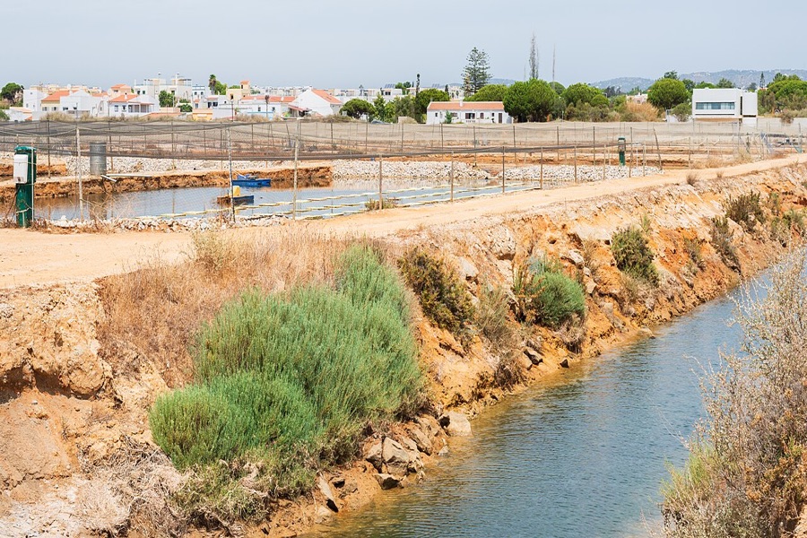 Series of netted earthen aquaculture ponds inspected at dawn for water quality and fish health
