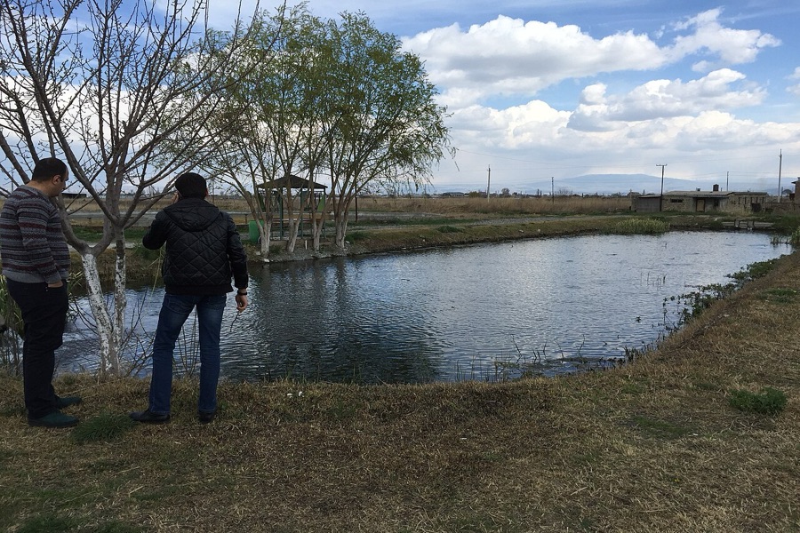 Commercial tilapia farming ponds managed for warmwater growth and daily water quality