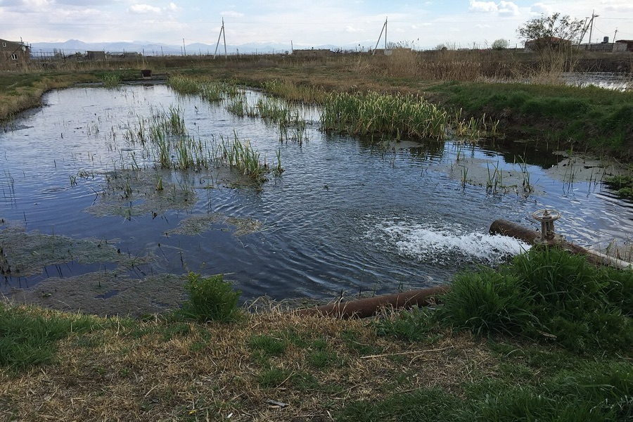Adjacent commercial aquaculture ponds used for comparing warmwater fish farming systems