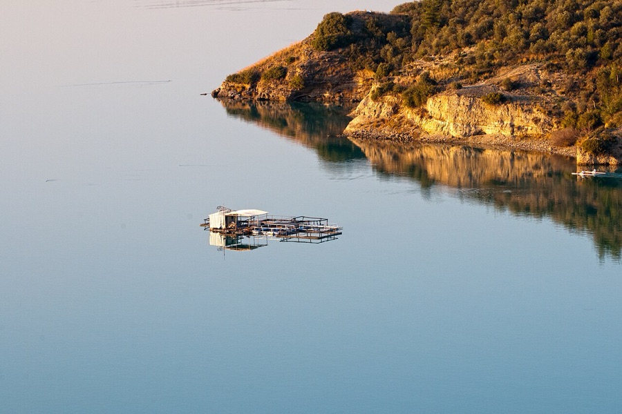 Outdoor commercial fish farming ponds exposed to seasonal and daily water temperature shifts