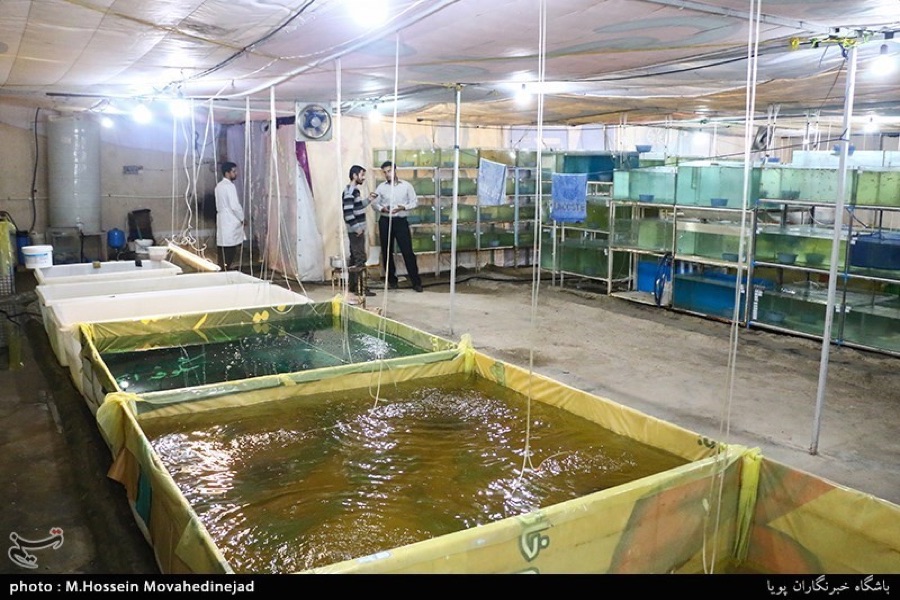 Flow-through raceway aquaculture channels where steady water flow rate is critical for fish health